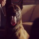 佳宝（不可以喝但能吃