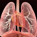 学校不买数据库